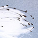WANDPLATTEN_DETAIL_Submarin_Aqua_7