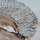 WANDPLATTEN_DETAIL_Submarin_Bunt_4